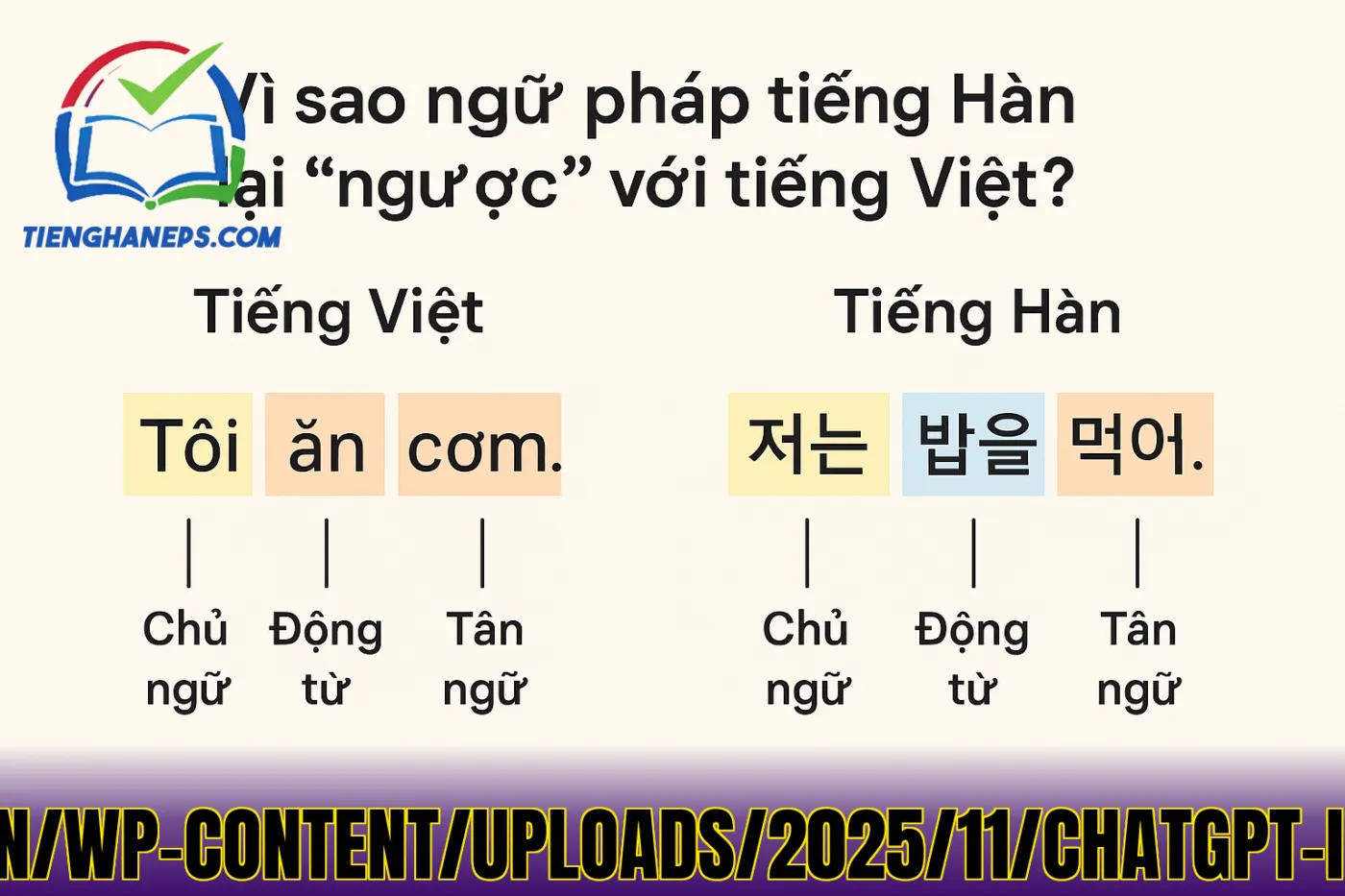 Từ](https://www.tuhoctienghan.vn/wp-content/uploads/2025/11/ChatGPT-Image-Nov-9-2025-12_18_43-PM.png