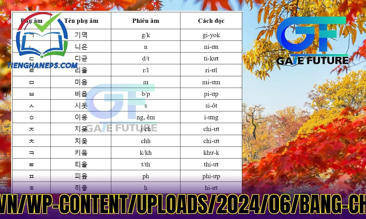 Bảng](https://gf.edu.vn/wp-content/uploads/2024/06/bang-chu-cai-tieng-han-2.jpg