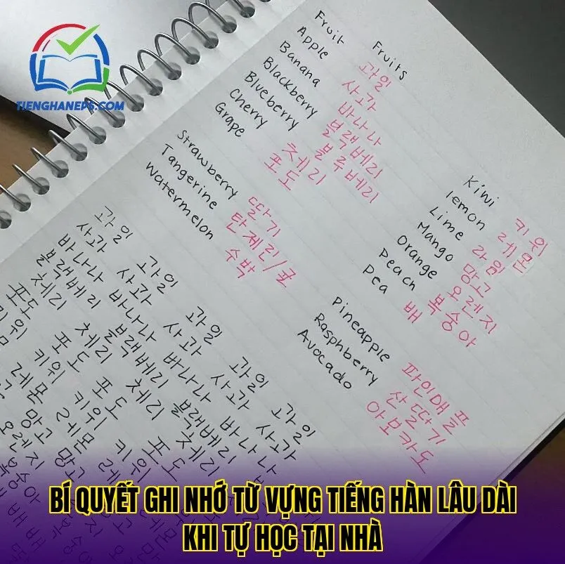 Bí quyết ghi nhớ từ vựng tiếng Hàn lâu dài khi tự học tại nhà