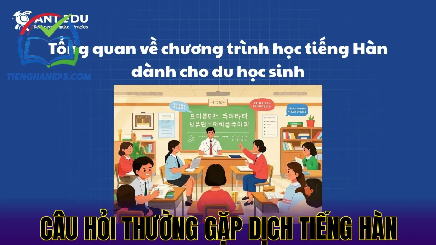 Câu hỏi thường gặp dịch tiếng Hàn