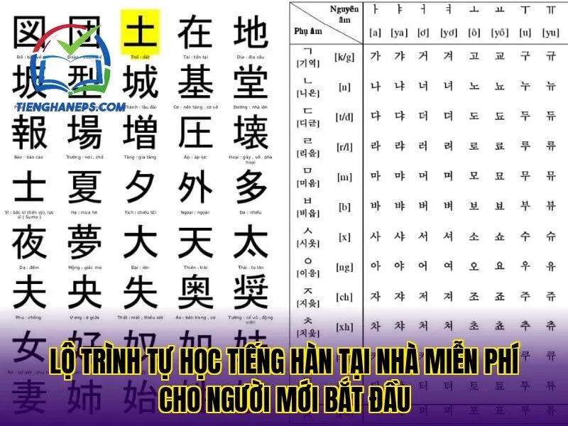 Lộ trình tự học tiếng Hàn tại nhà miễn phí cho người mới bắt đầu