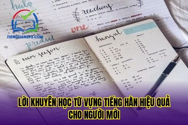 Lời khuyên học từ vựng tiếng Hàn hiệu quả cho người mới