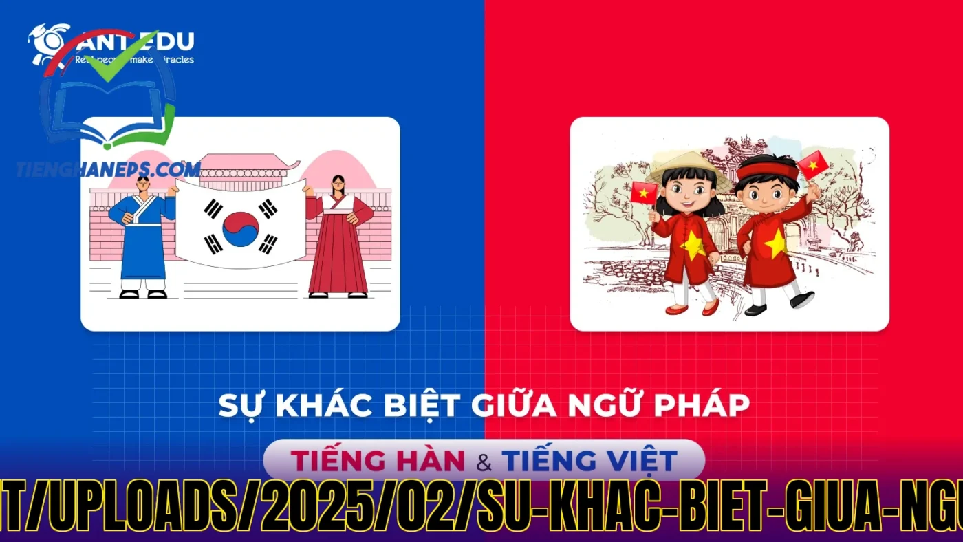 Mẹo](https://ant-edu.vn/wp-content/uploads/2025/02/su-khac-biet-giua-ngu-phap-tieng-han-va-tieng-viet.webp