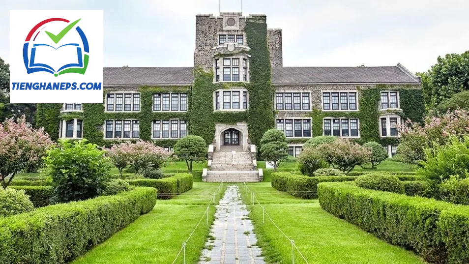 Cổng chính Trường Đại học Yonsei Hàn Quốc – minh họa quy trình nộp hồ sơ và lịch tuyển sinh quốc tế