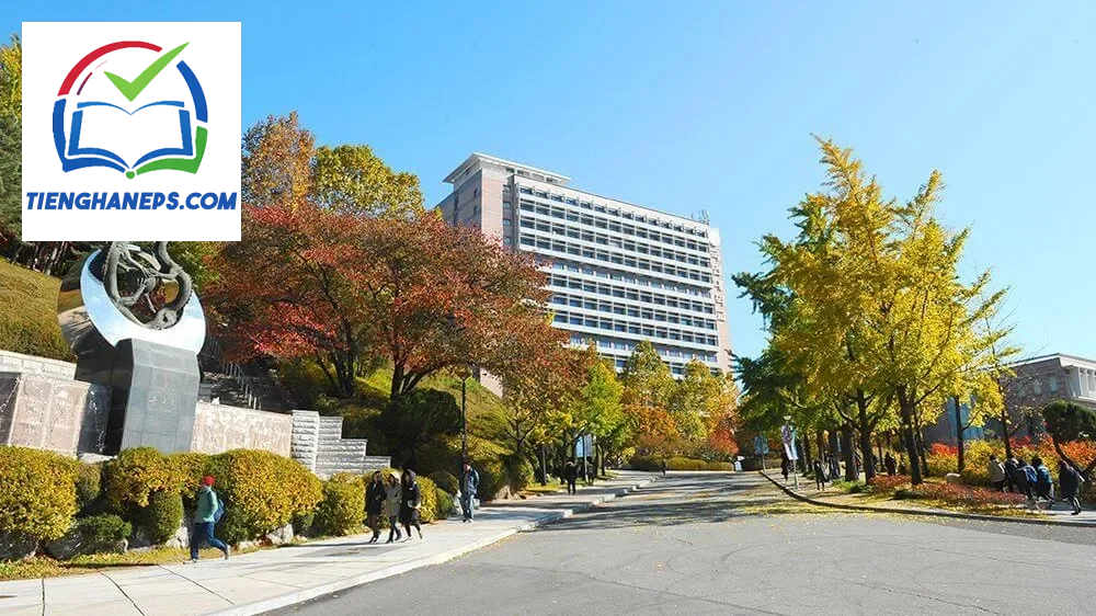 **Đại học Kookmin Hàn Quốc: Học phí - Ngành học - Điều kiện du học**
