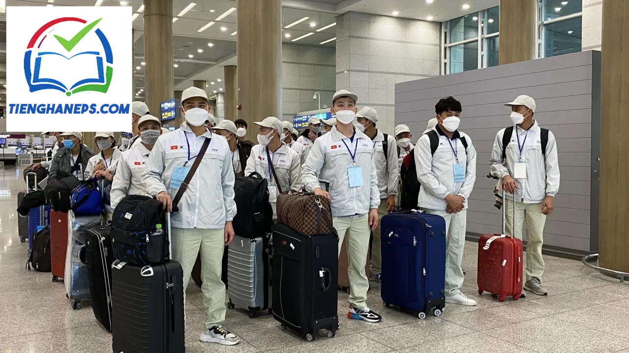Lao động Việt Nam tìm hiểu cơ hội việc làm tại Hàn Quốc với môi trường làm việc hiện đại