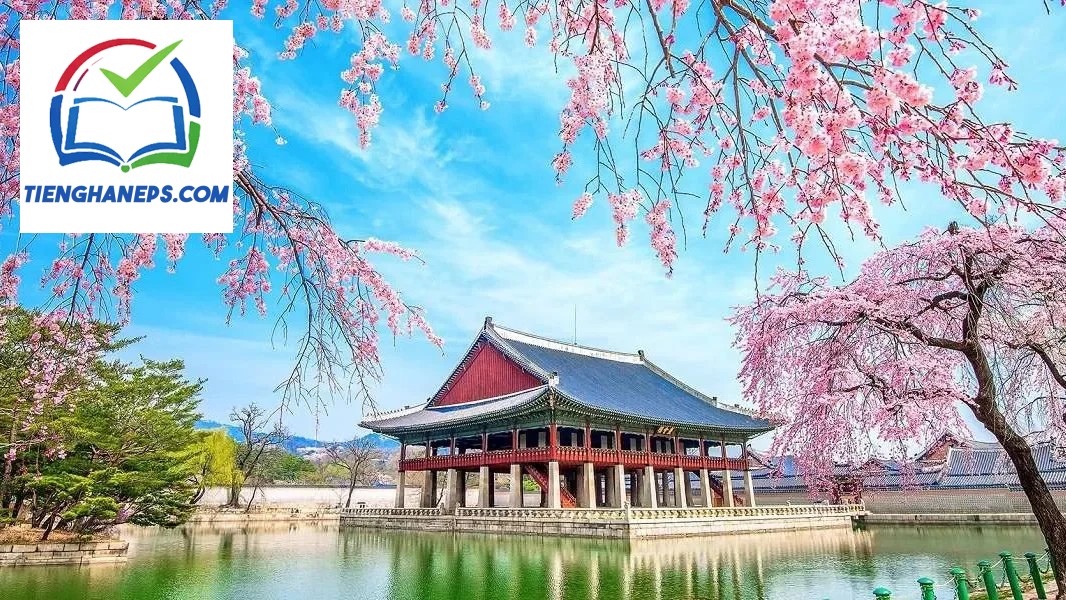 Minh họa ngữ pháp nguyên nhân kết quả tiếng Hàn dành cho trình độ sơ cấp
