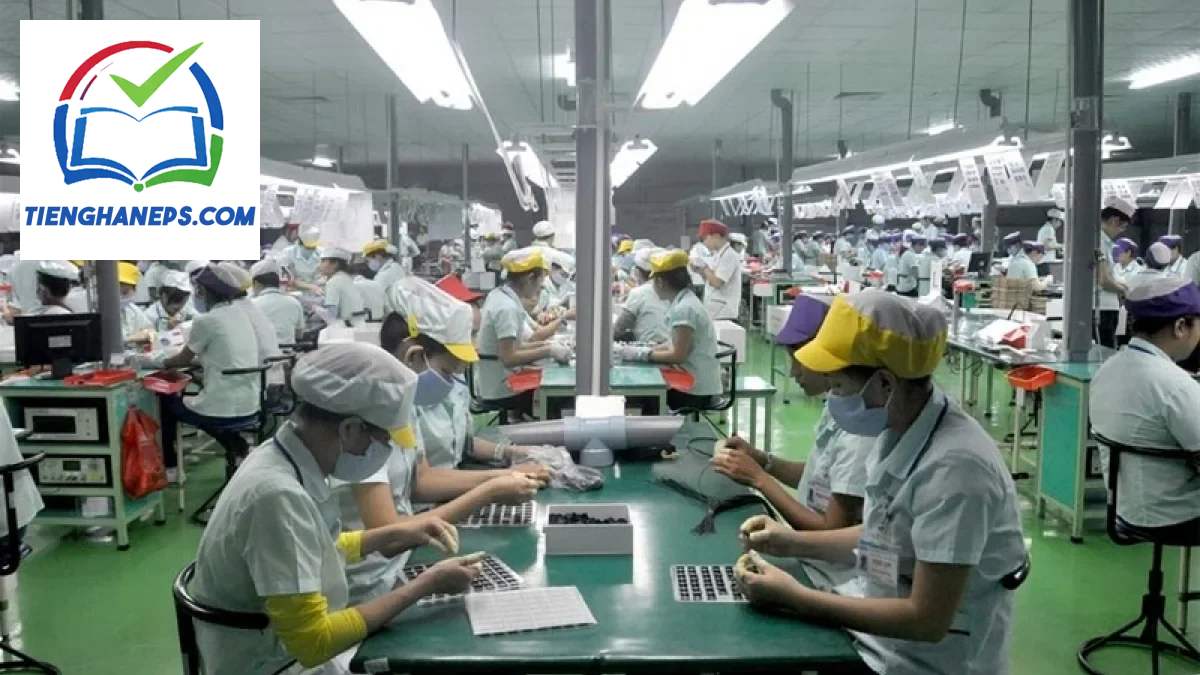 Người lao động xây dựng lộ trình phát triển sự nghiệp và nâng cao thu nhập tại Hàn Quốc