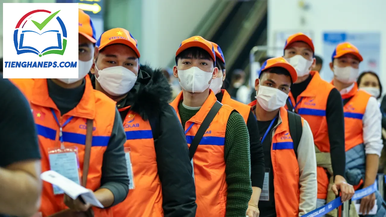Người lao động xuất khẩu sang Hàn Quốc với mức lương hấp dẫn theo nhiều ngành nghề