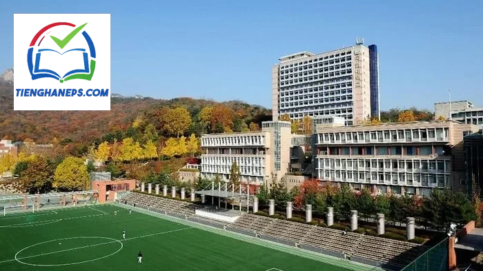 Sinh viên tại Đại học Kookmin Hàn Quốc tìm hiểu điều kiện và quy trình nhập học dành cho du học sinh
