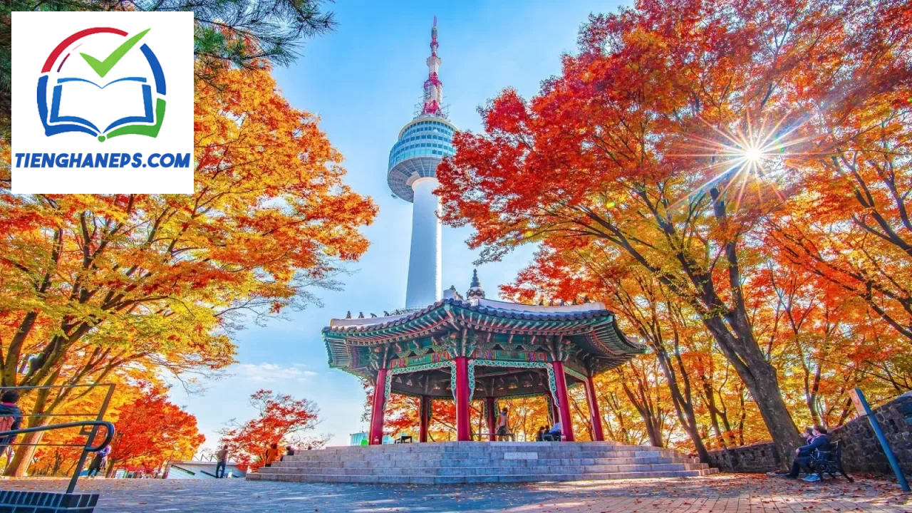 Tháp Namsan Seoul minh họa ngữ pháp so sánh 만큼 và 같다 trong tiếng Hàn