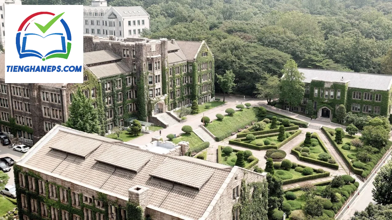 Toàn cảnh khuôn viên Trường Đại học Yonsei Hàn Quốc với các tòa nhà và không gian học tập hiện đại
