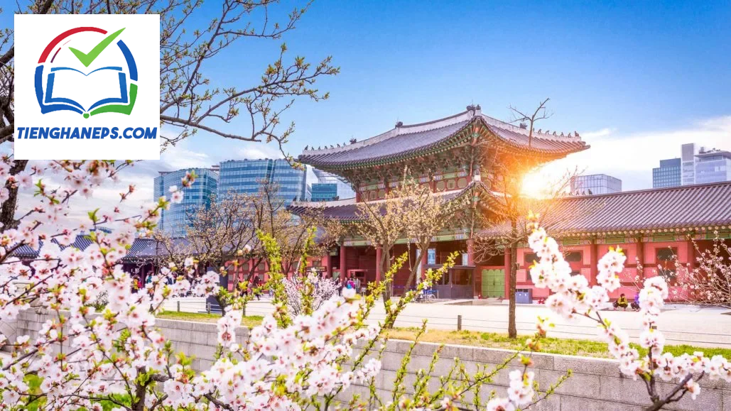 Khung cảnh Hàn Quốc phát triển mạnh về kinh tế, phù hợp minh họa cơ hội kinh doanh và đầu tư