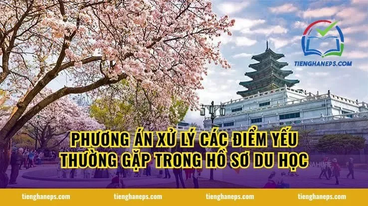 Phương án xử lý các điểm yếu thường gặp trong hồ sơ du học