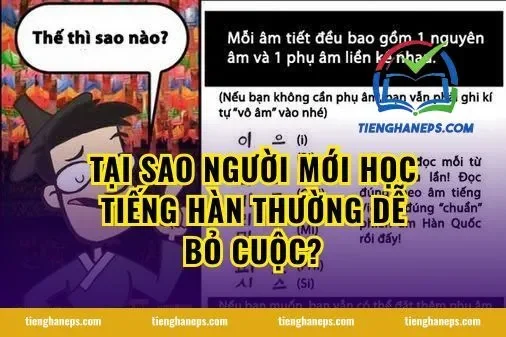 Tại Sao Người Mới Học Tiếng Hàn Thường Dễ Bỏ Cuộc?